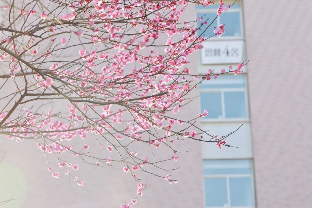 640-8
